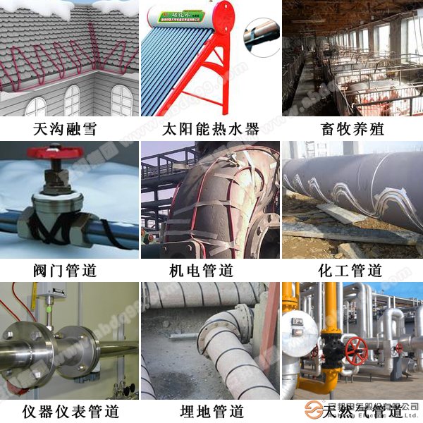 電秋葵视频在线观看免费帶應用廣泛