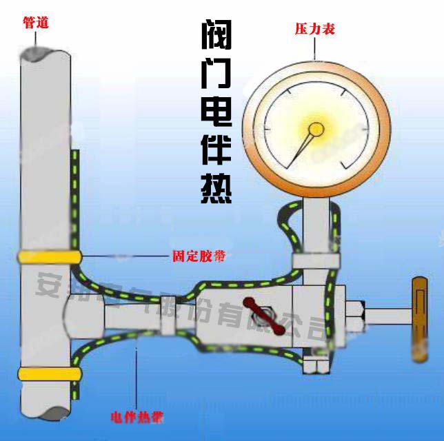 閥門電秋葵视频在线观看免费帶