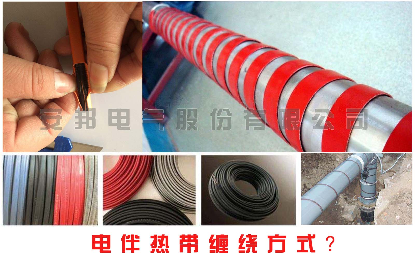 電秋葵视频在线观看免费帶纏繞方式