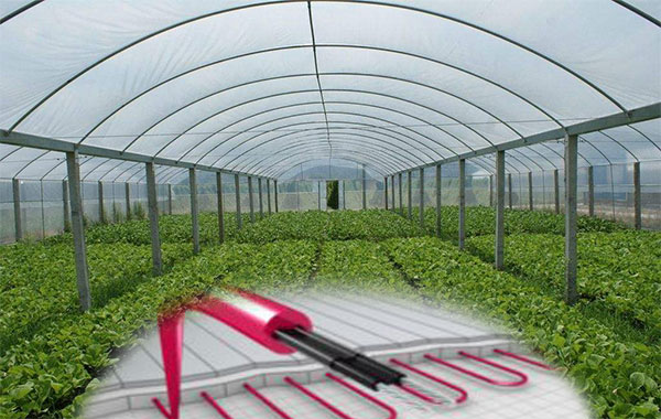 植物栽培電秋葵视频在线观看免费帶保溫促生長