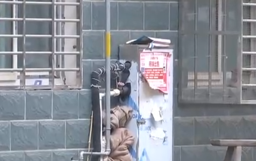 自來水管道保溫電秋葵视频在线观看免费帶，冬季管道防凍新寵(圖2)