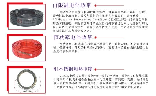 電秋葵视频在线观看免费帶三種型號